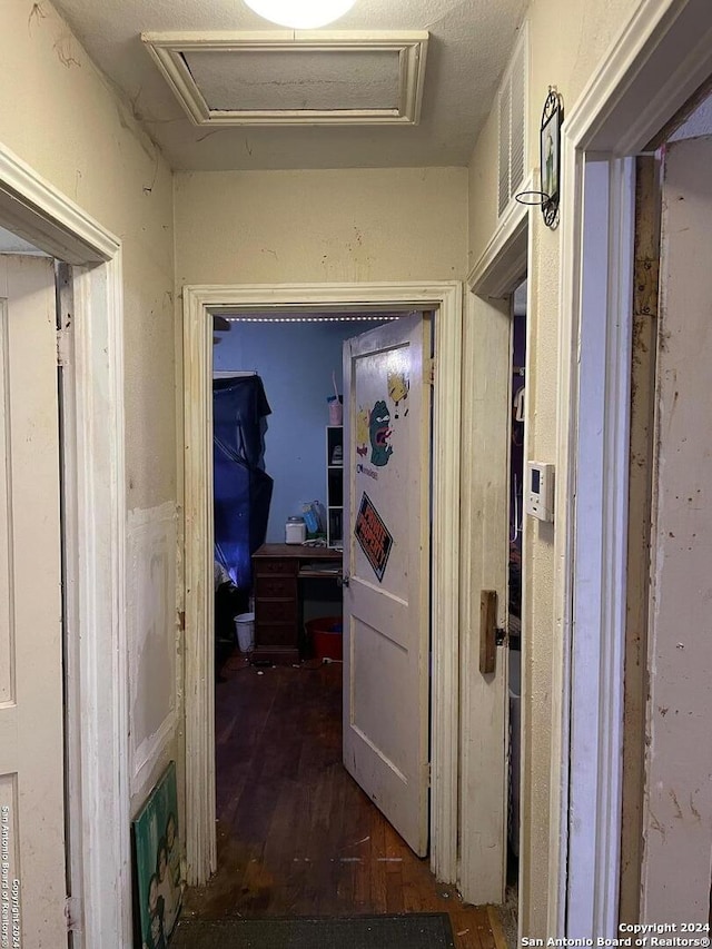 hall featuring dark hardwood / wood-style floors