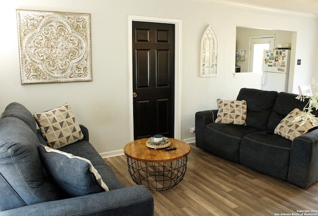 living room featuring ornamental molding and hardwood / wood-style floors