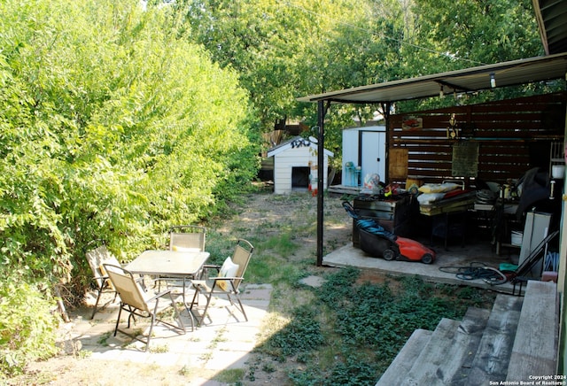 view of yard featuring a shed and a patio area