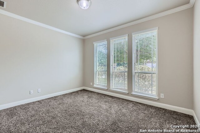 unfurnished room featuring carpet and ornamental molding