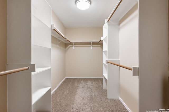 spacious closet featuring light colored carpet