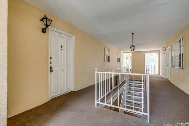 hall featuring carpet floors