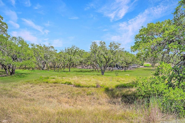 Listing photo 2 for 967 Maximino Ridge Rd, Bulverde TX 78163