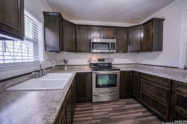 kitchen featuring crown molding, appliances with stainless steel finishes, dark hardwood / wood-style flooring, and dark brown cabinetry