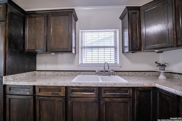 kitchen with ornamental molding, sink, and dark brown cabinets