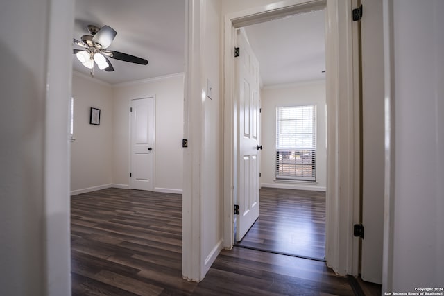 hall with crown molding and dark hardwood / wood-style floors