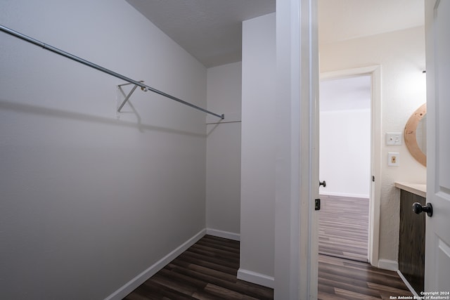 spacious closet with dark hardwood / wood-style floors