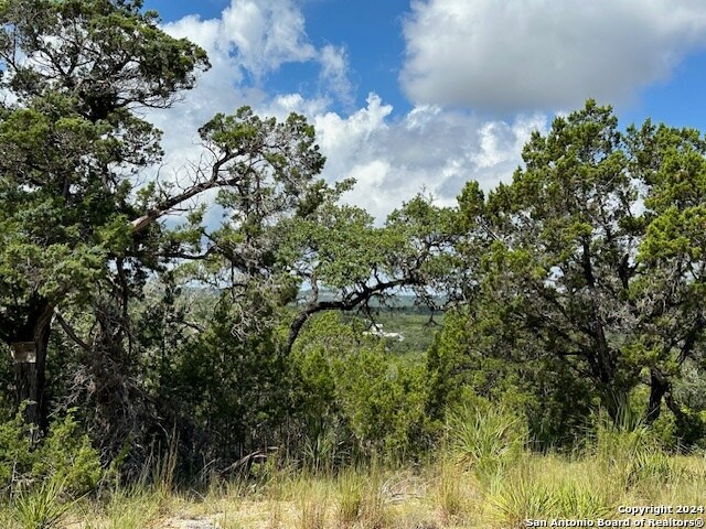 Listing photo 2 for 0TBD San Juan, Canyon Lake TX 78133