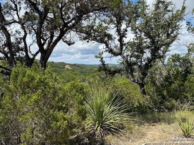 Listing photo 3 for 0TBD San Juan, Canyon Lake TX 78133