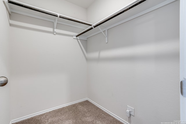 walk in closet with carpet flooring