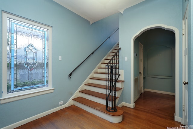 stairs with hardwood / wood-style floors and a wealth of natural light