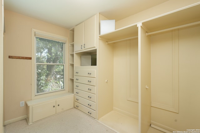 spacious closet featuring carpet flooring