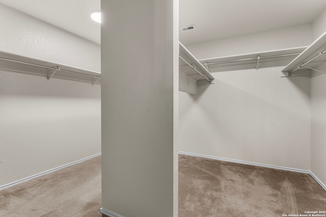 spacious closet with carpet flooring