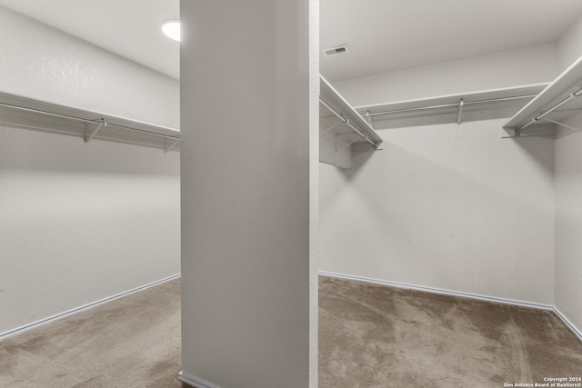 spacious closet with carpet