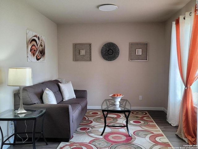 living room featuring dark wood-type flooring