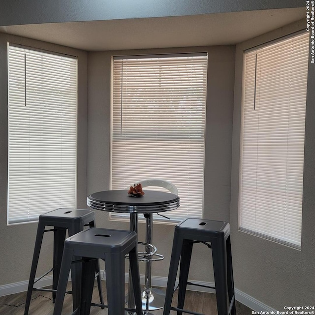 dining space featuring hardwood / wood-style floors