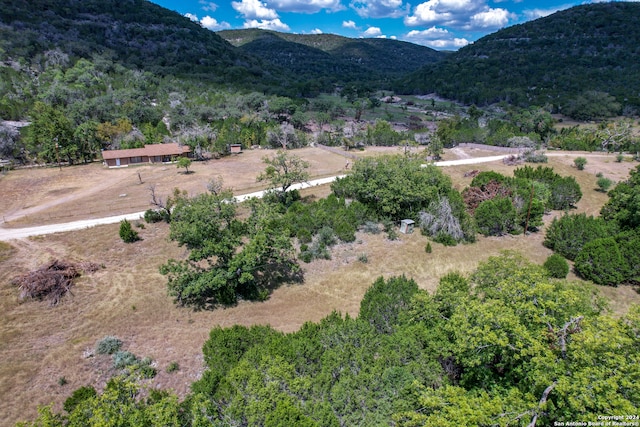 aerial view with a mountain view