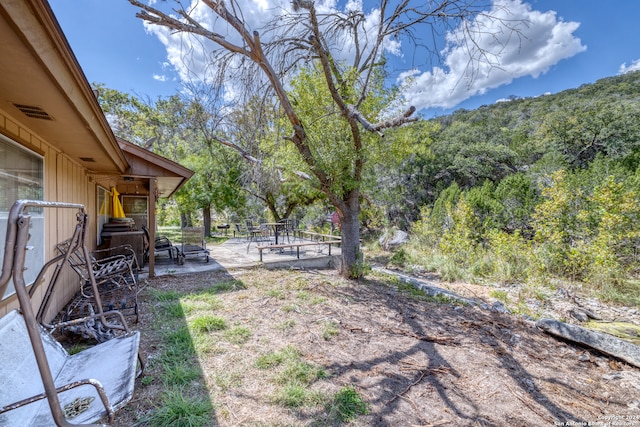 view of yard featuring a patio area