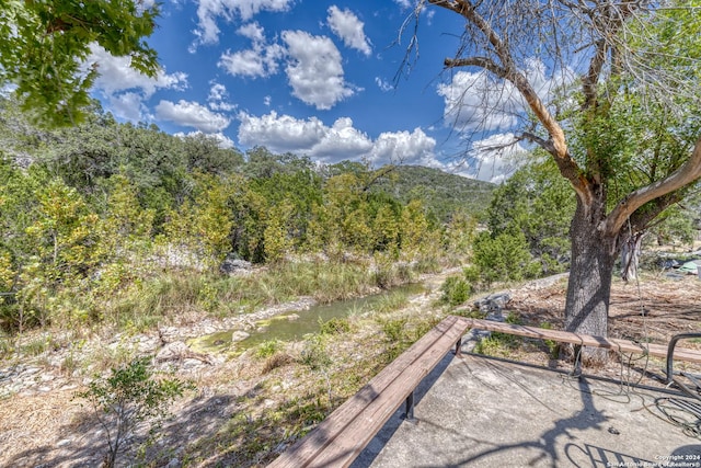 view of mountain feature with a wooded view