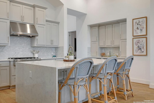 kitchen with light wood-type flooring, under cabinet range hood, a kitchen island with sink, and gray cabinets