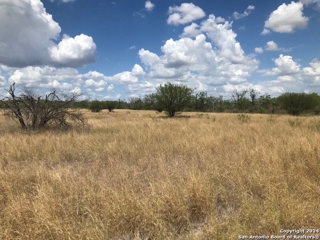 Listing photo 2 for 425 County Road 5780, Castroville TX 78009