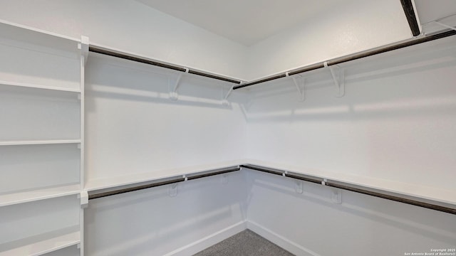 spacious closet with carpet