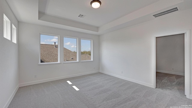 spare room featuring light carpet and a raised ceiling