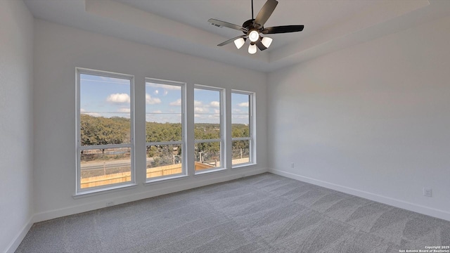 unfurnished room featuring carpet floors, baseboards, and a raised ceiling