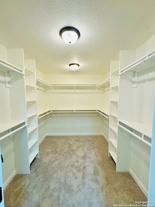 spacious closet with light colored carpet