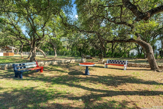 view of property's community with a yard