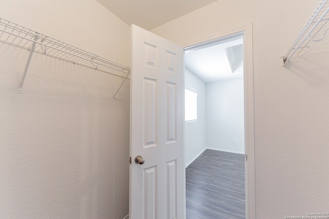 spacious closet with hardwood / wood-style floors