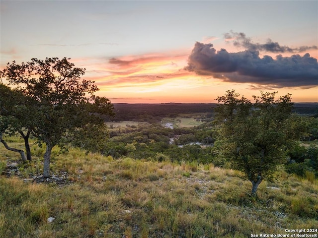 1853 Paradise Pkwy, Canyon Lake, TX 78133