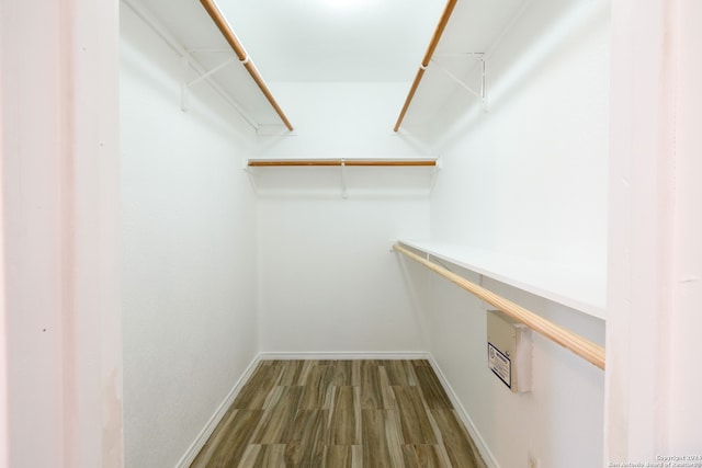 walk in closet featuring wood-type flooring