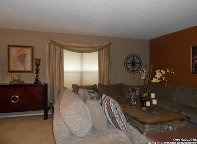 carpeted living room with a textured ceiling