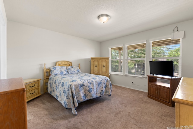 carpeted bedroom with a textured ceiling