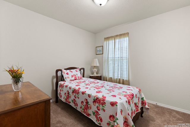 bedroom with carpet flooring