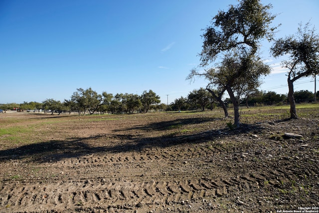 view of local wilderness featuring a rural view