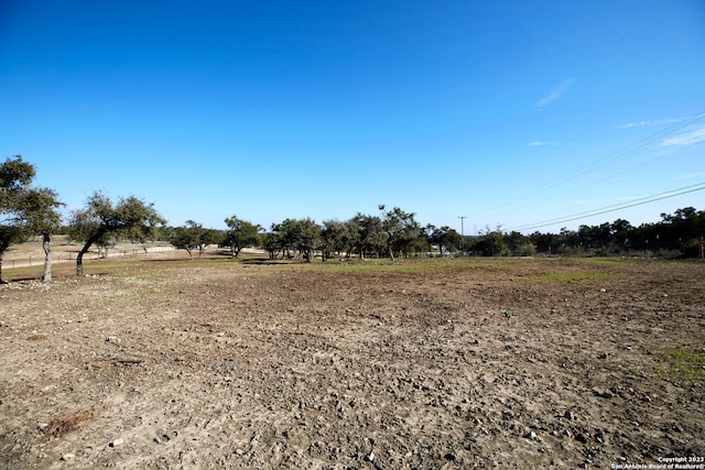 view of local wilderness with a rural view