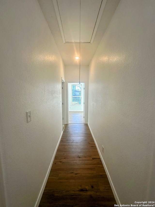 corridor featuring dark hardwood / wood-style flooring