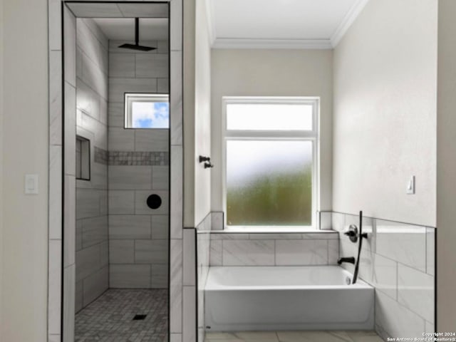 bathroom featuring plenty of natural light, ornamental molding, and plus walk in shower