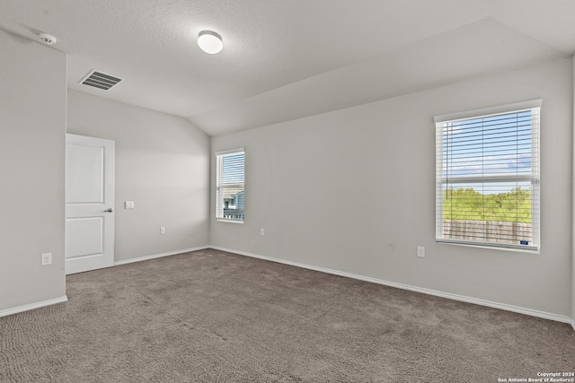 unfurnished room featuring lofted ceiling, plenty of natural light, carpet flooring, and a textured ceiling