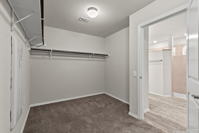 spacious closet featuring carpet