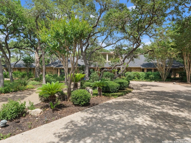 view of front of property featuring brick siding and driveway