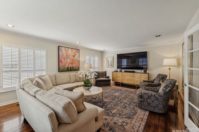 living room featuring dark wood-type flooring and crown molding