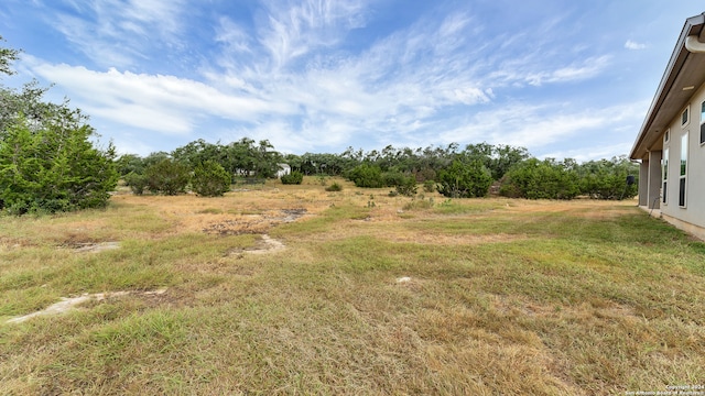 view of yard with a rural view