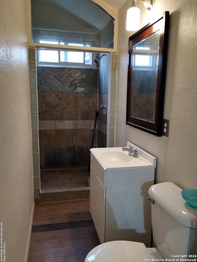 bathroom featuring a shower with curtain, vanity, toilet, and a healthy amount of sunlight