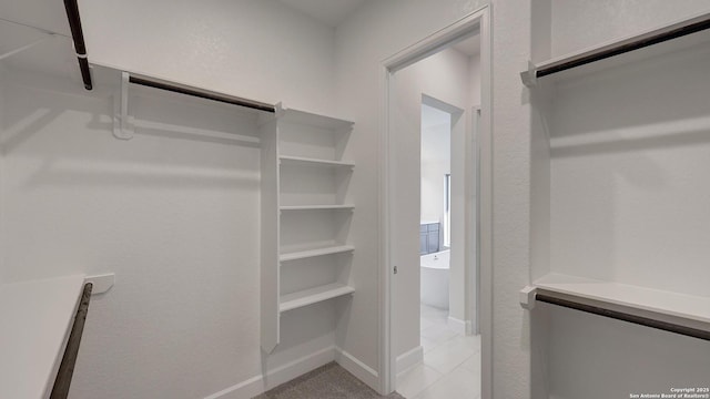 view of walk in closet