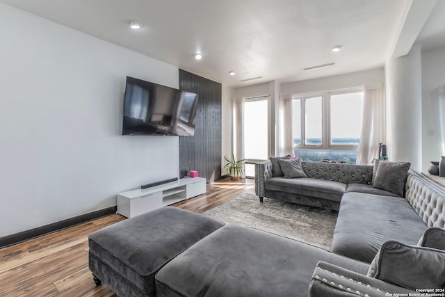 living room with hardwood / wood-style floors