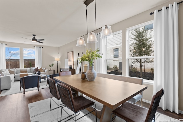 dining area featuring a wealth of natural light, ceiling fan, and hardwood / wood-style flooring