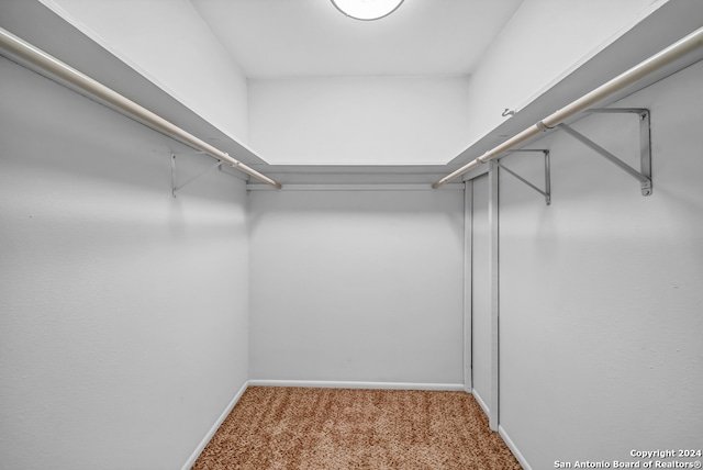 walk in closet with carpet